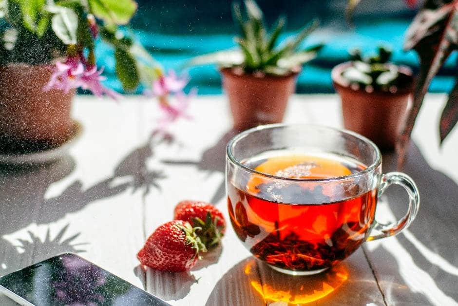 Rooibos propiedades y contraindicaciones Cafes el Criollo zaragoza te rooibos con plantas te rooibos